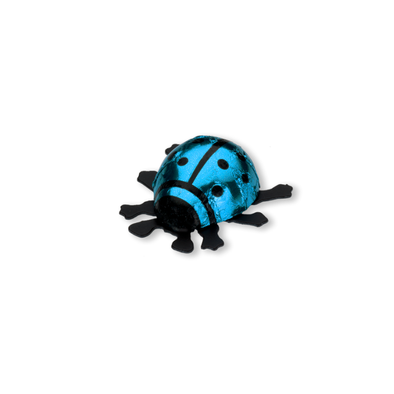 Chocolate ladybug blue