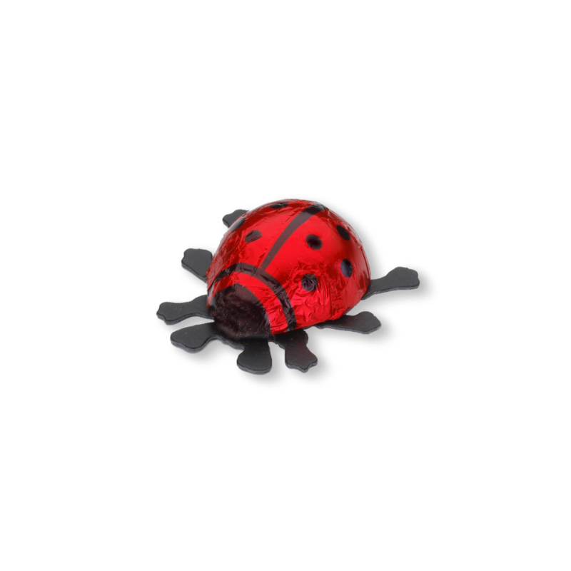 Coccinelle chocolat rouge