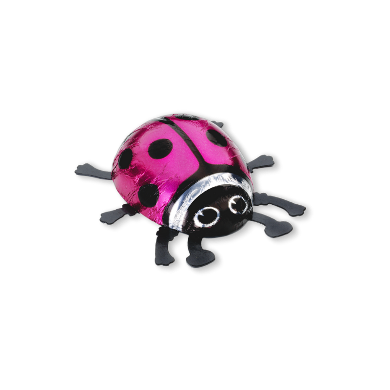 Coccinelle rose chocolat