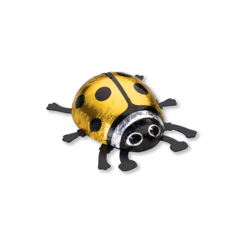 Coccinelle chocolat or