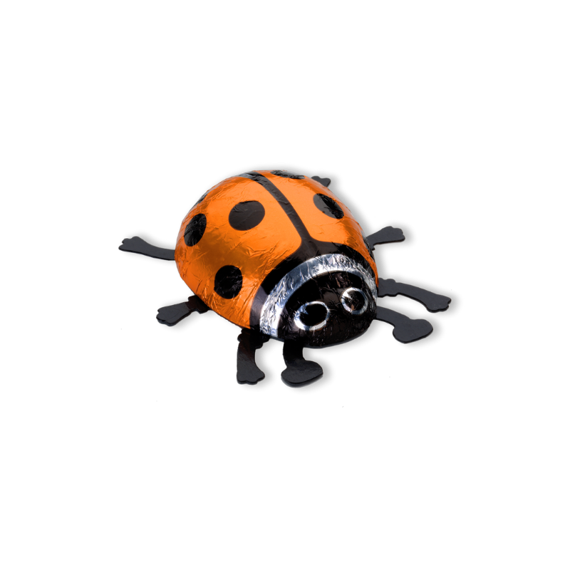 Schokoladen Glückskäfer orange