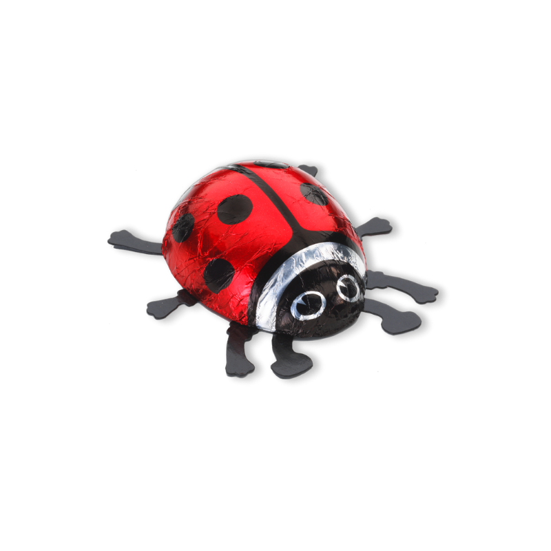 Schokoladen Glückskäfer rot