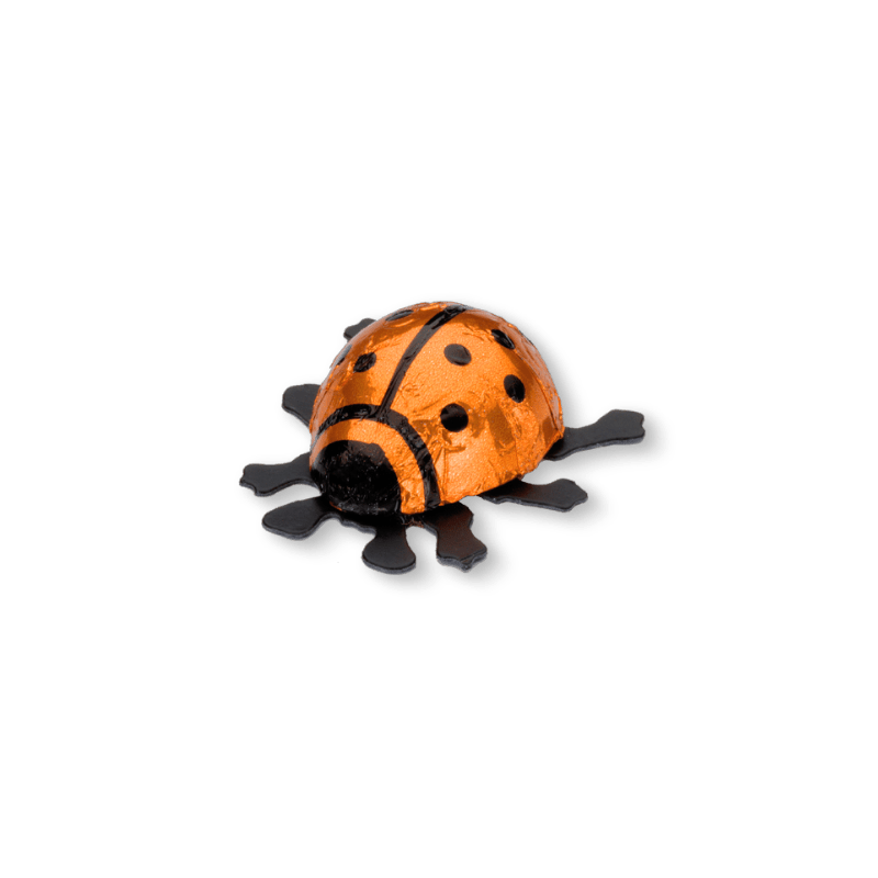 Schokoladen Glückskäfer orange - Schokoladen > Käfer - Vicolo